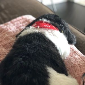 Meet your Posher, Bindu